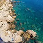 Sea Life -