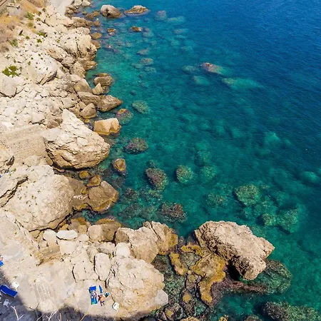 Sea Life -