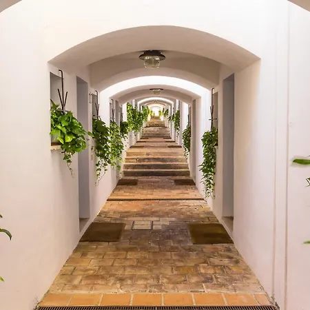 Sea Life - Apartman Taormina