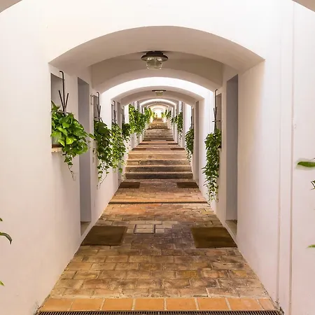 Sea Life - * تاورمينا