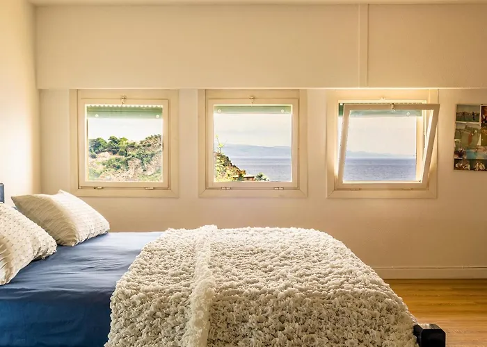 Sea Life - 陶尔米纳