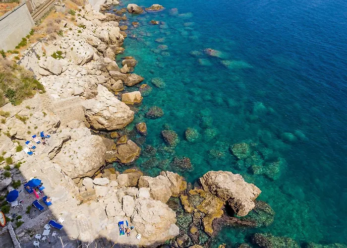 Sea Life -